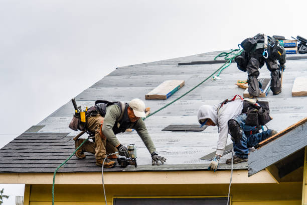 Professional Gutter Installation technician working in Luray, TN